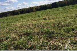 Участок 20 соток