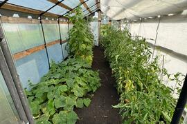 Участок, 7 сот., сельхоз (снт или днп)