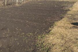 Участок, 4 сот., сельхоз (снт или днп)