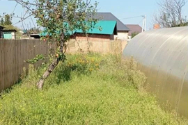 Участок 6,2 сот. (ИЖС)