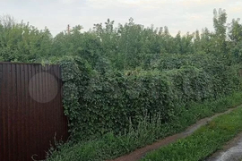 Участок 4,3 сот. (СНТ, ДНП)