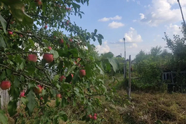 Участок 8 сот. (СНТ, ДНП)