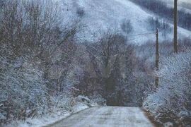 Участок 25 сот. (СНТ, ДНП)