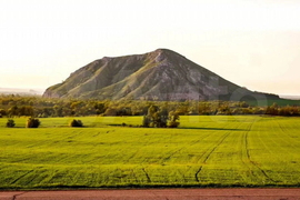 Участок 8,2 сот. (ИЖС)