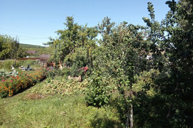 Участок 12 сот. (СНТ, ДНП)