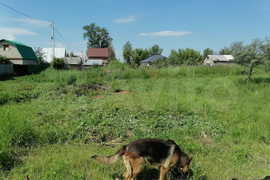 Участок 7,21 га (СНТ, ДНП)