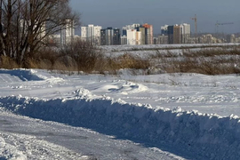 Участок 8 сот. (ИЖС)