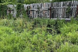 Участок 6,5 сот. (СНТ, ДНП)
