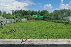 Участок 4,5 сот. (СНТ, ДНП)