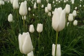 Продается студия, 27,6 м²
Расположение
