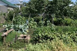 Продается участок, 3 сот.
Расположение
