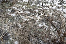 Участок в Башкортостан, Стерлитамакский район, с. Наумовка ул. 70 лет Октября, 41 (5.0 сот.)