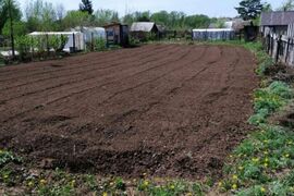 Участок в Башкортостан, Стерлитамак Ромашка СНТ, 110 (5.8 сот.)